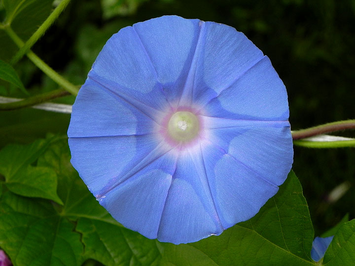 DSCN0867