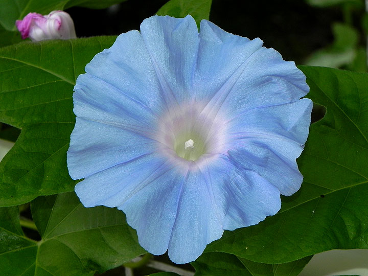 DSCN0870