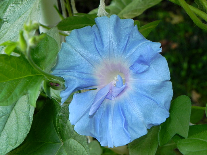 DSCN0871