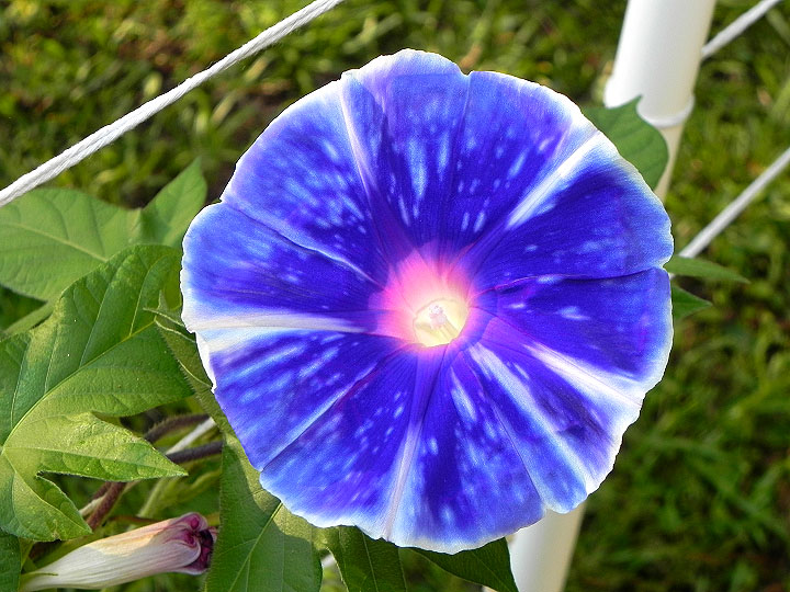 DSCN0883