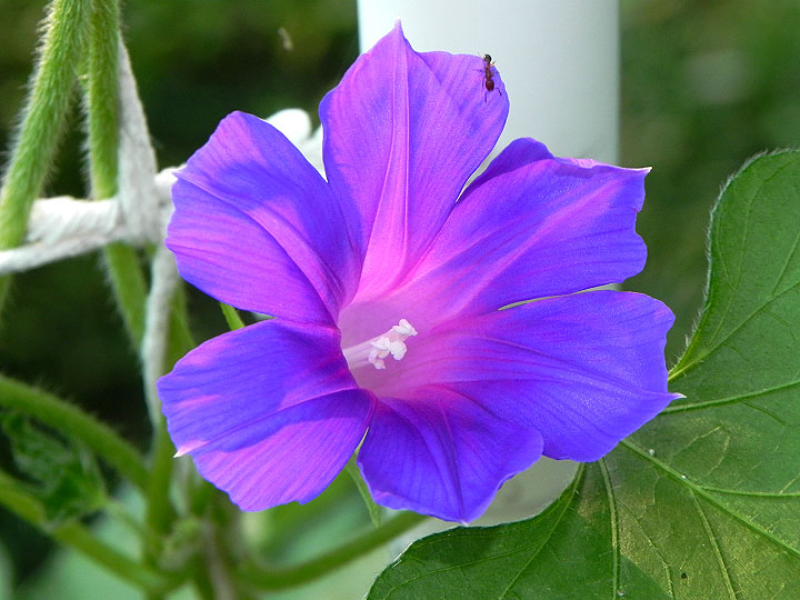 DSCN0906