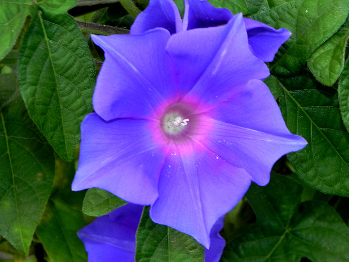 DSCN0935