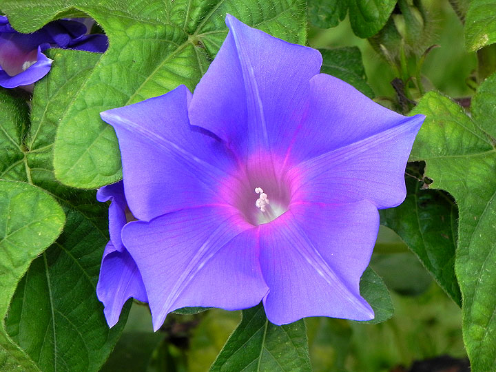 DSCN0936