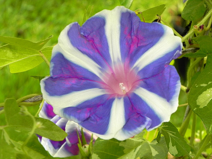 DSCN0964