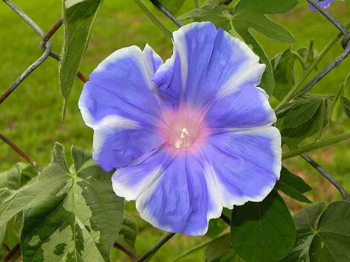 DSCN0989