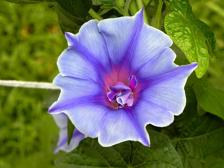 DSCN1005