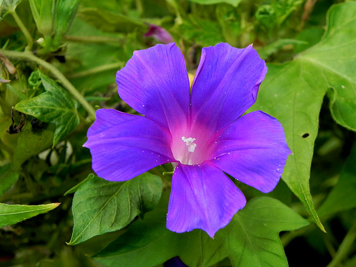 DSCN1042
