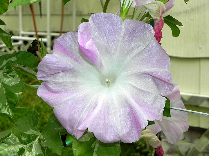 DSCN1054