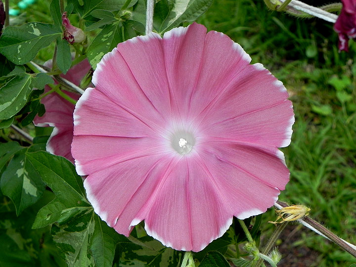 DSCN1084