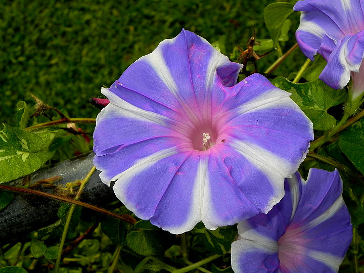 DSCN1092