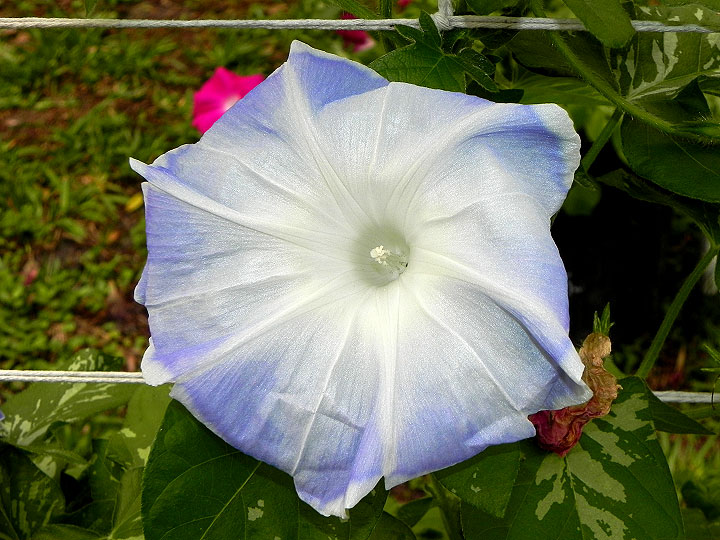 DSCN1092