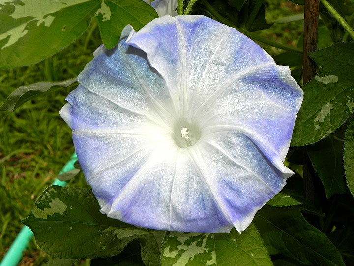 DSCN1095