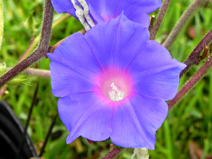 DSCN1111