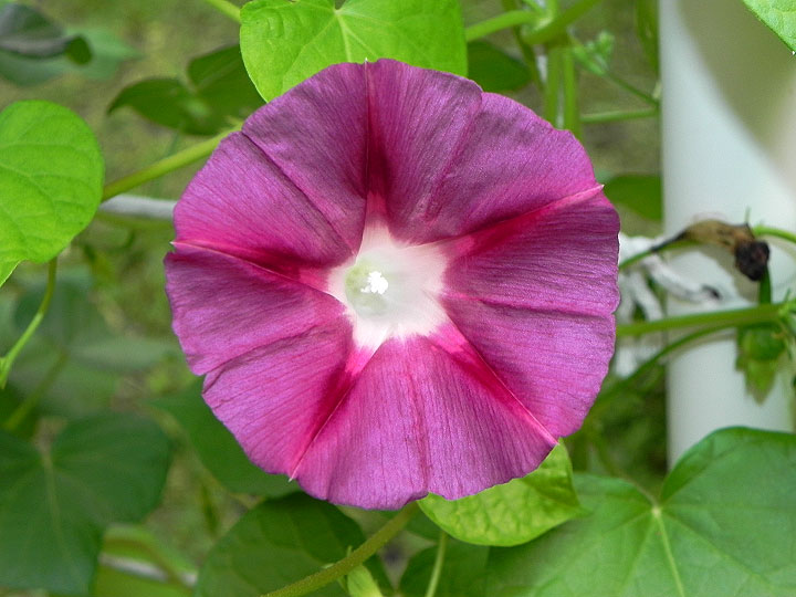 DSCN1112