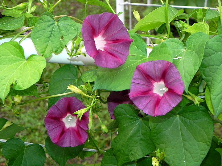 DSCN1114