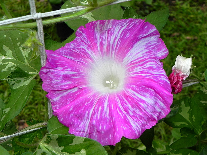 DSCN1116