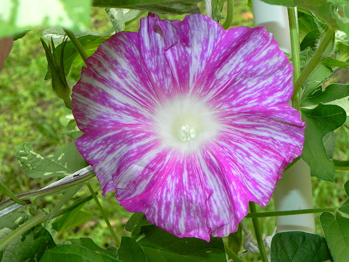 DSCN1117