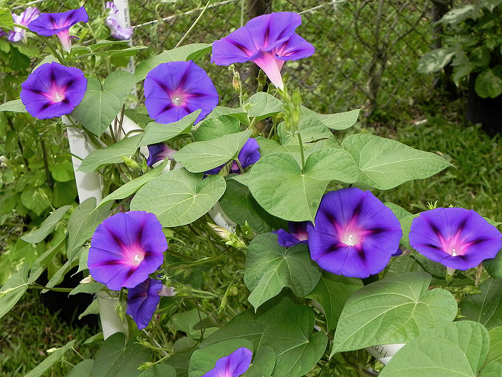 DSCN1119