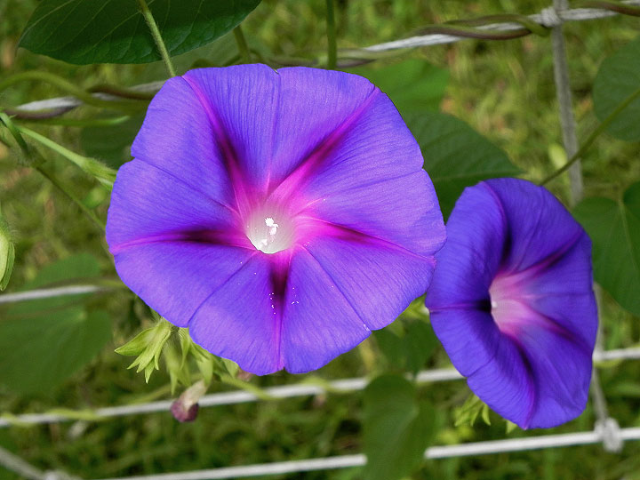 DSCN1120