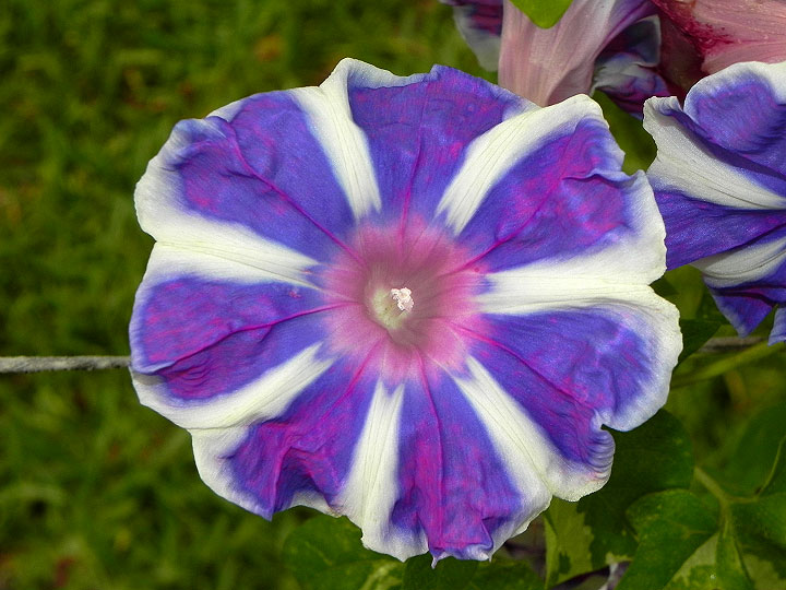 DSCN1134