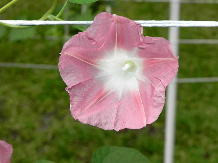 DSCN1138