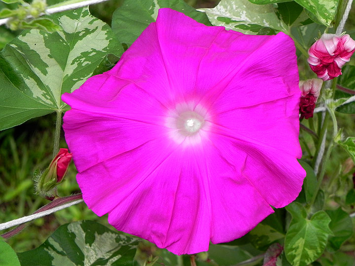 DSCN1148