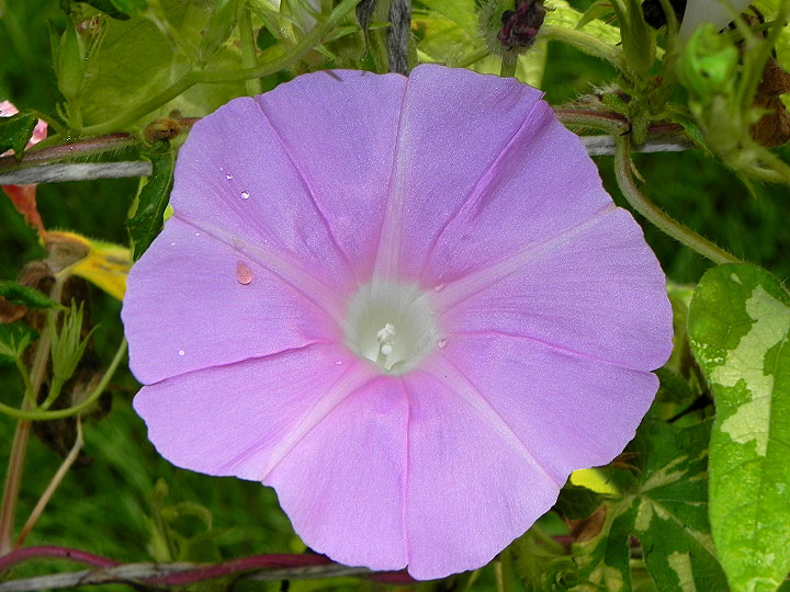 DSCN1149