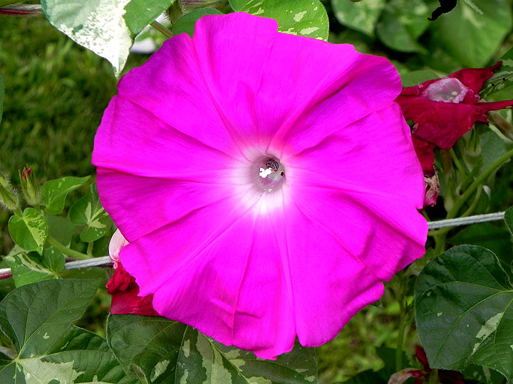 DSCN1149