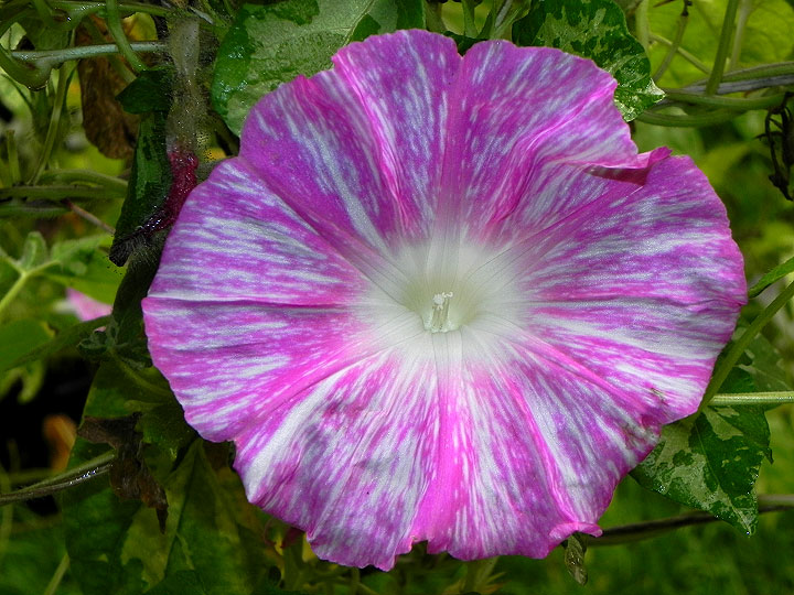 DSCN1153