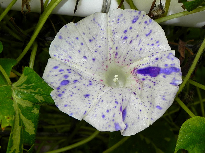 DSCN11702