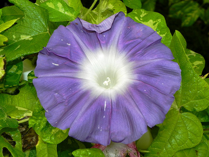 DSCN1173