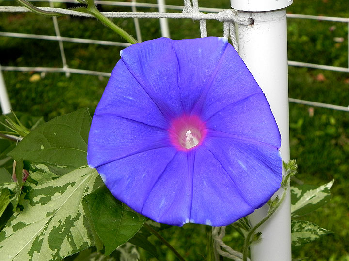 DSCN1176