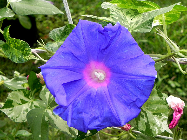 DSCN1179
