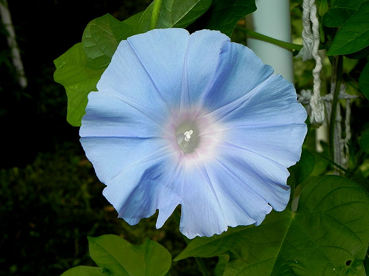 DSCN1185