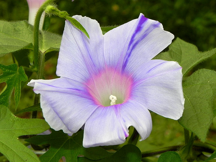 DSCN1206