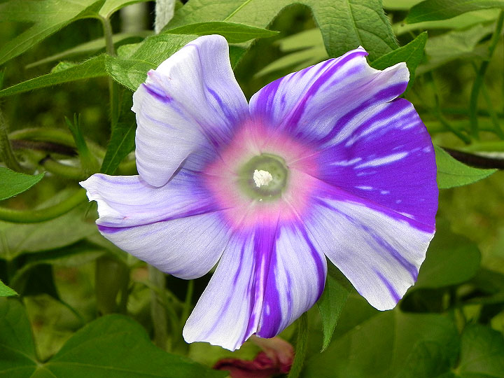 DSCN1207