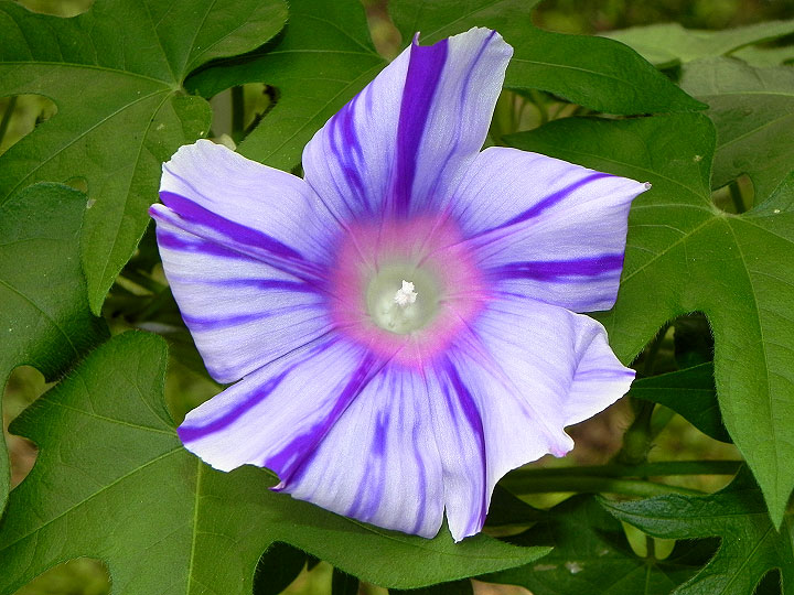 DSCN1208
