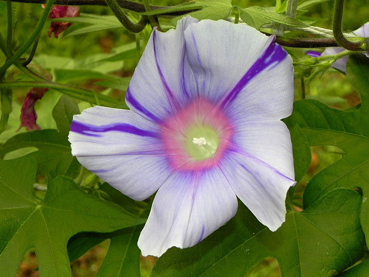 DSCN1209