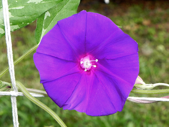 DSCN1220