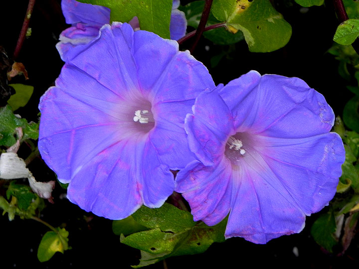 DSCN1259