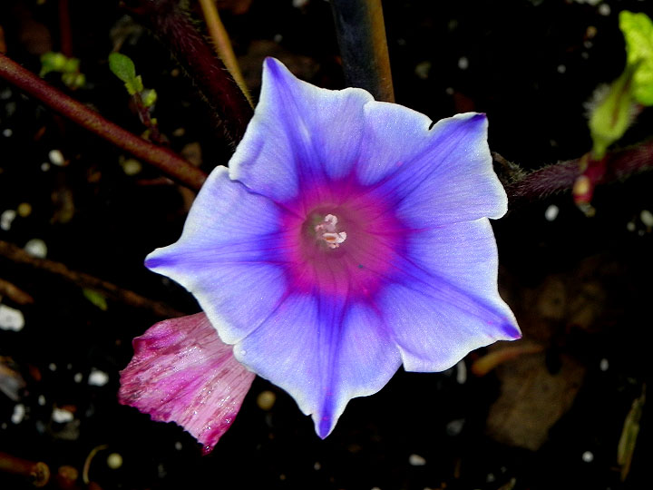 DSCN1263