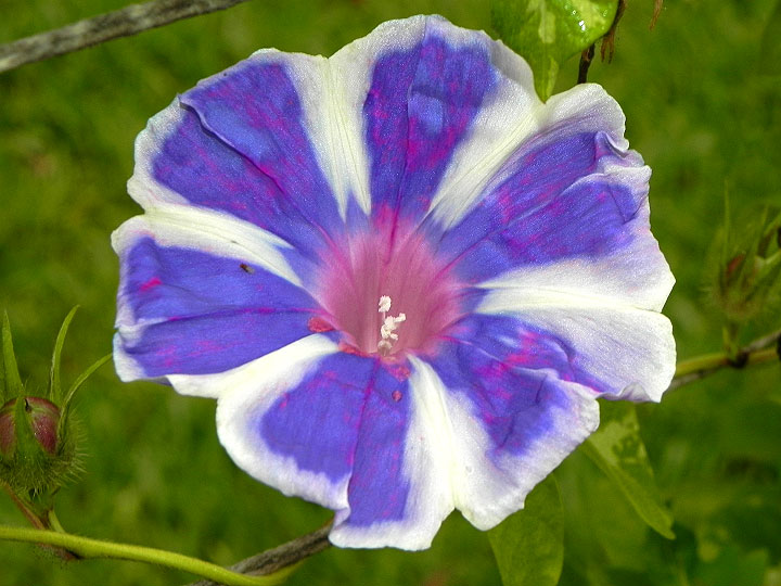 DSCN1301