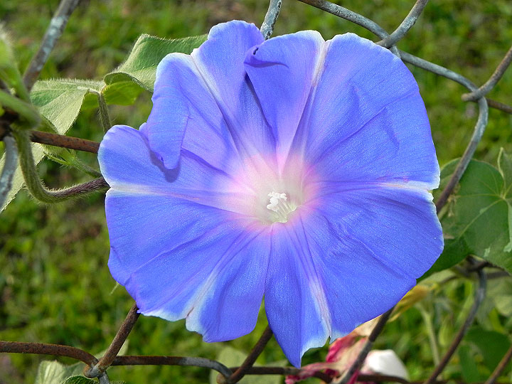 DSCN1302