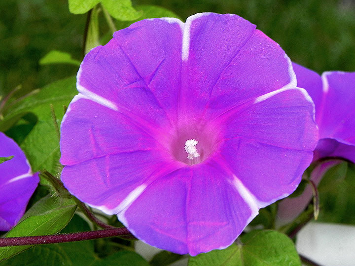 DSCN1302
