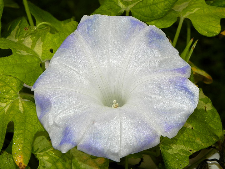 DSCN1318