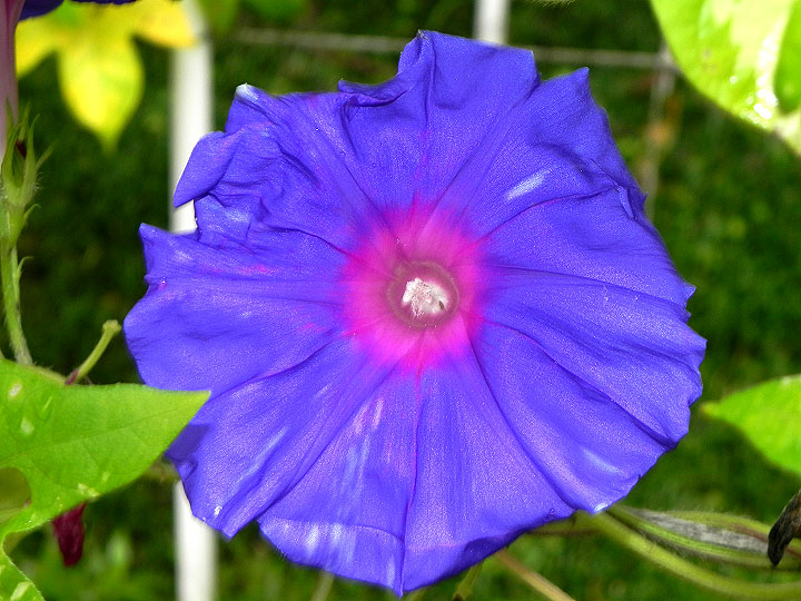 DSCN1348