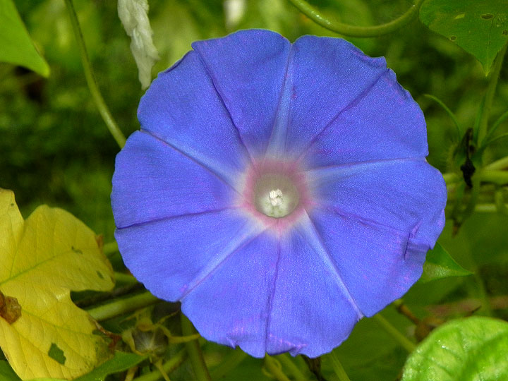 DSCN1352