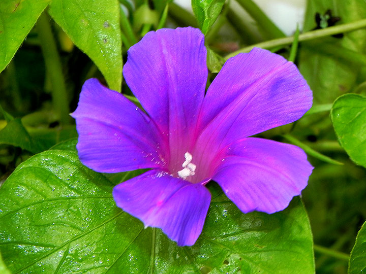 DSCN1371