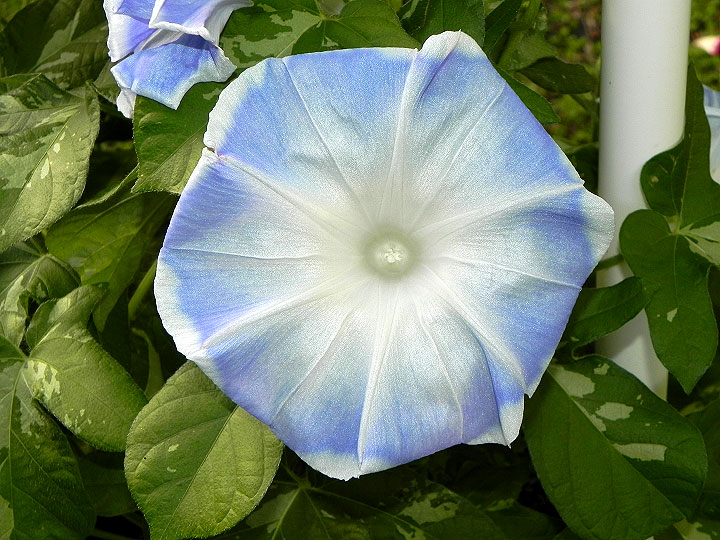 DSCN1393