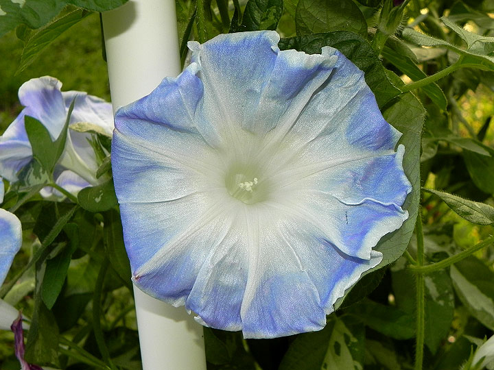 DSCN1394